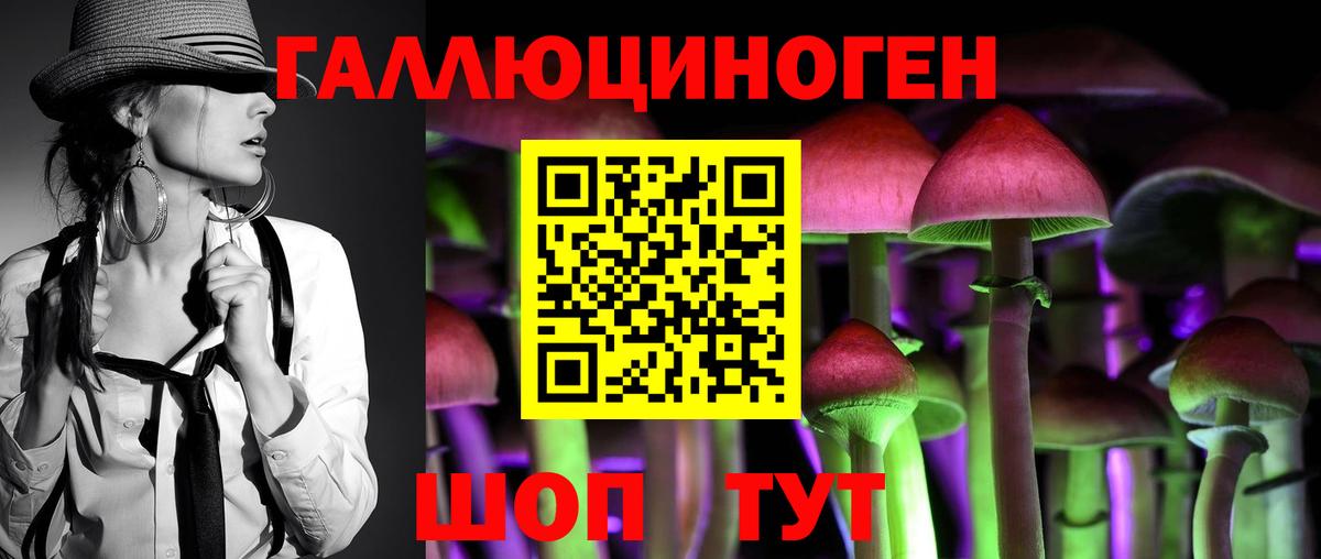 Псилоцибиновые грибы Cubensis Владимир