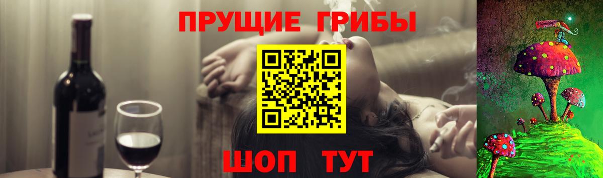 Владимир  Псилоцибиновые грибы мицелий  Вход с VPN 